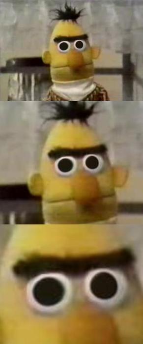 Bert%2Bstare.jpg