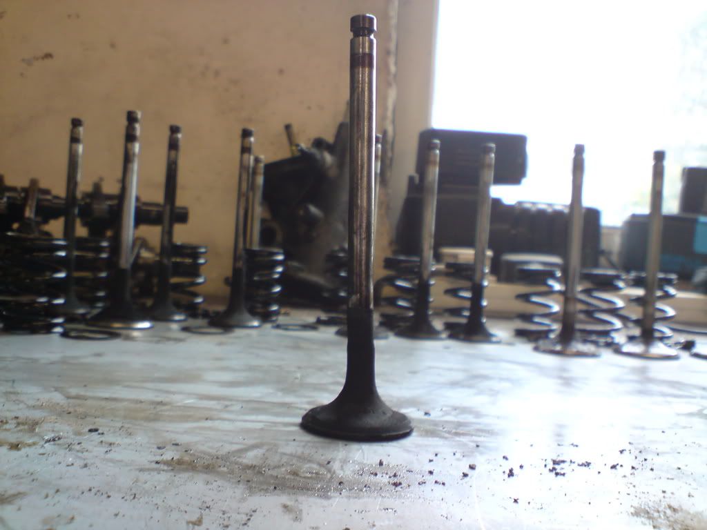 DSC02248.jpg