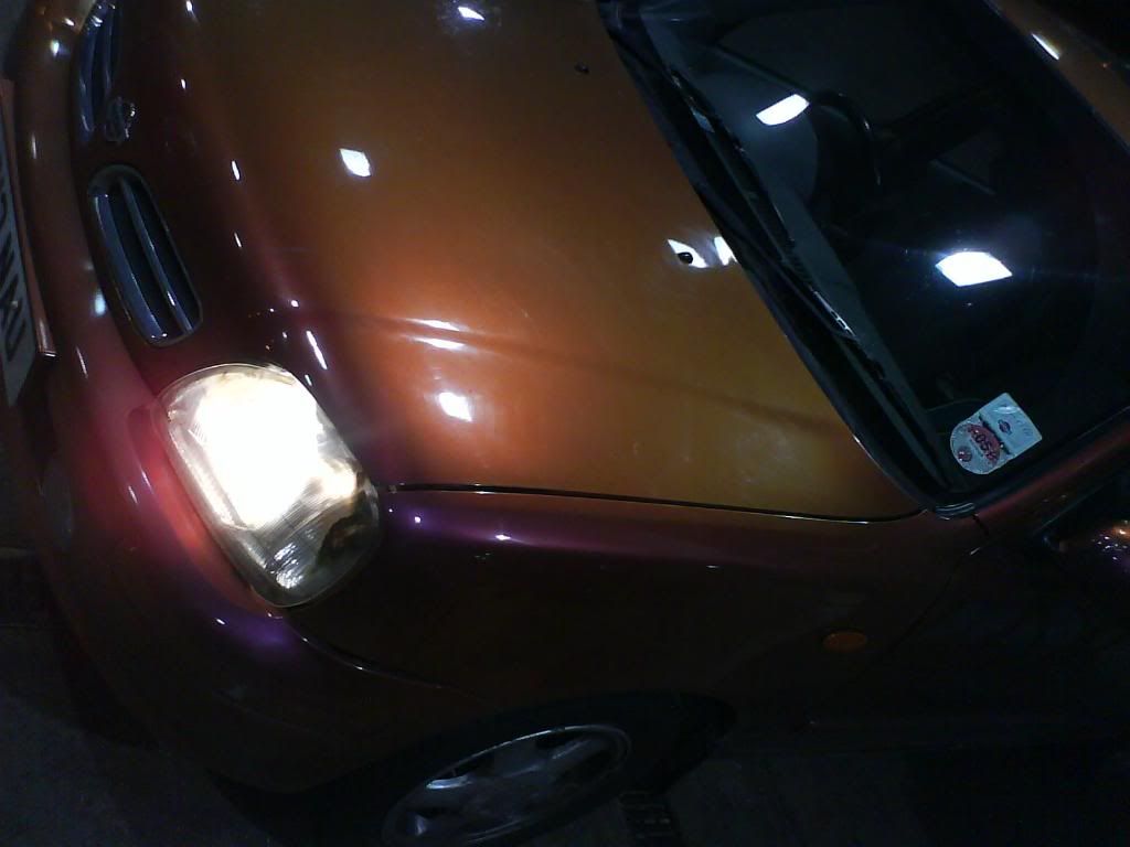 DSC00610.jpg