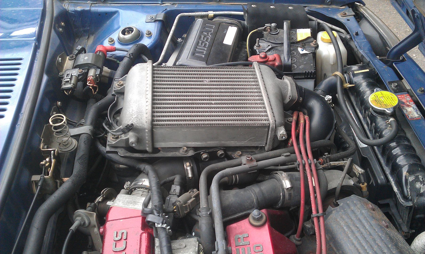 IMAG0547.jpg
