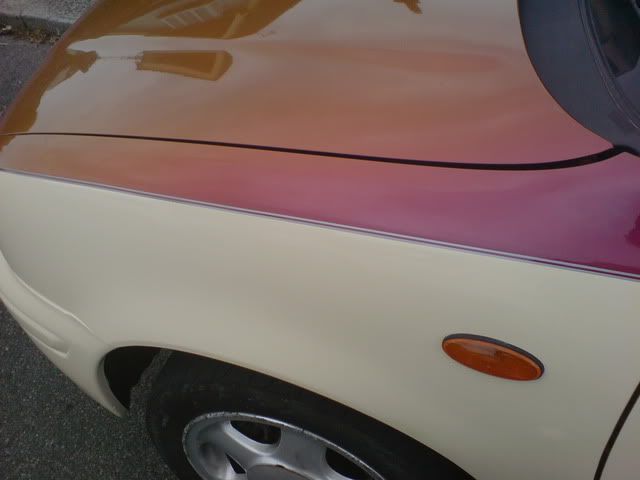 DSC00681.jpg