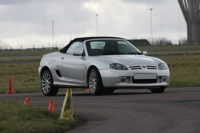 pashcorner2plate.jpg
