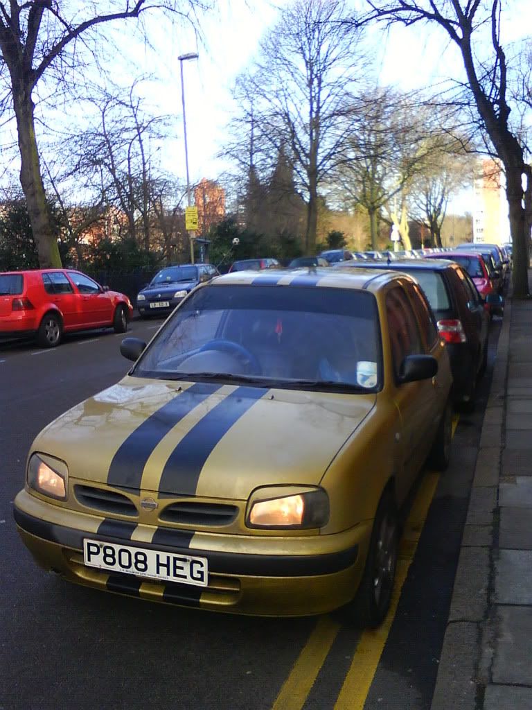DSC00593.jpg