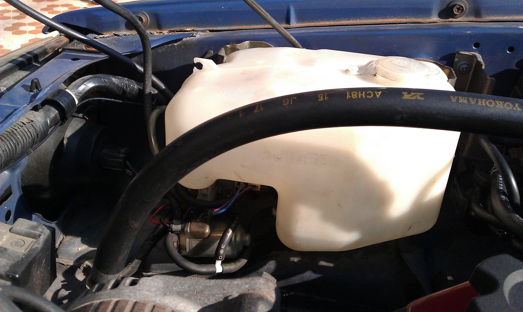 IMAG0683.jpg