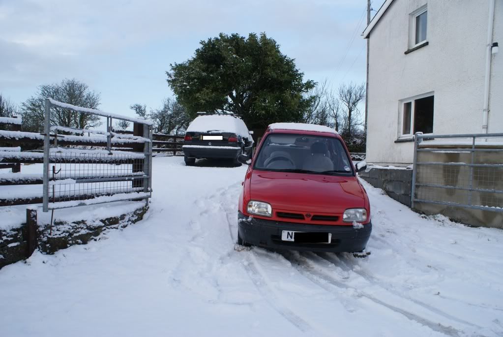 micra3.jpg