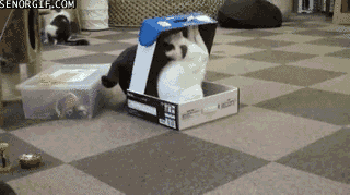 qCzPI.gif