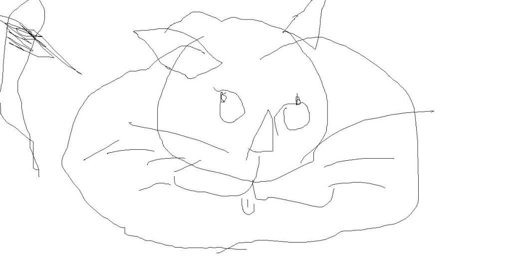 Eyesclosedcatpic.jpg