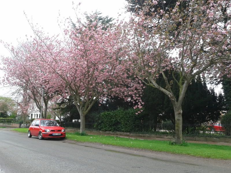 2012-04-26160218.jpg