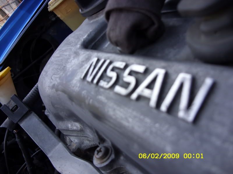 SDC10330.jpg