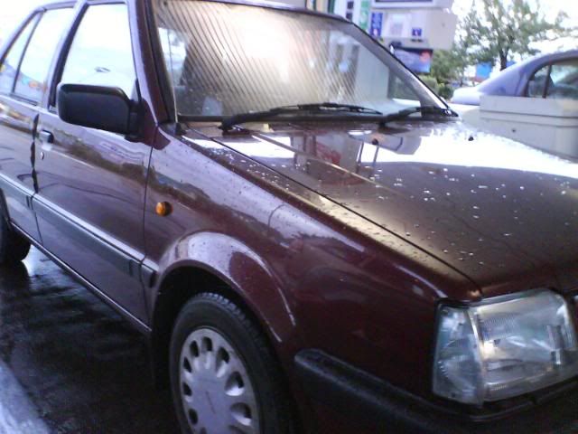 DSC02488.jpg