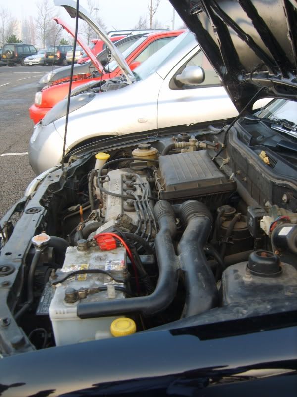 S8001636.jpg