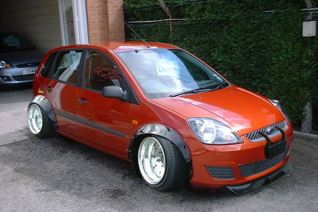 Fester-1.jpg