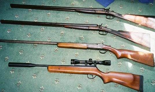 guns.jpg