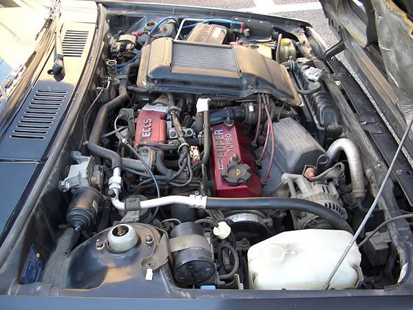 600CIMG9123.jpg