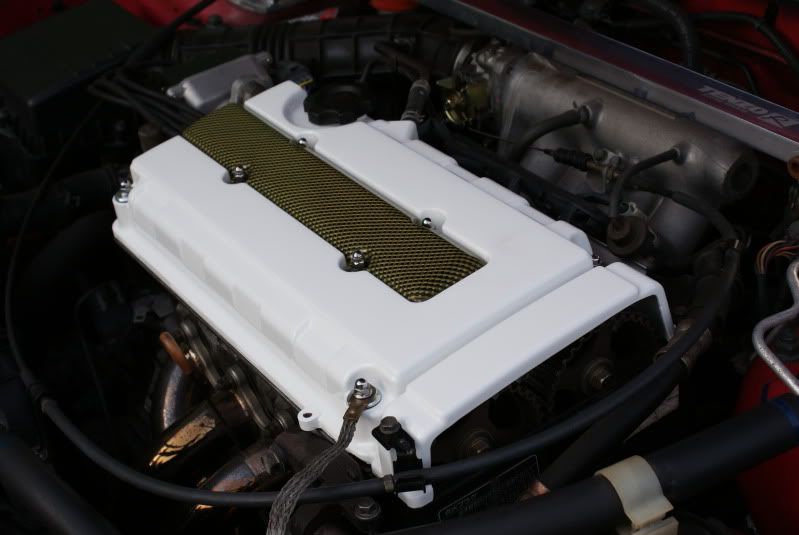 whitecover.jpg