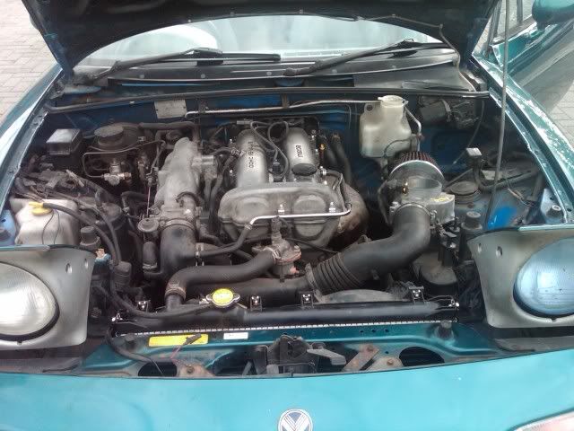 IMG00243-20100828-1748.jpg