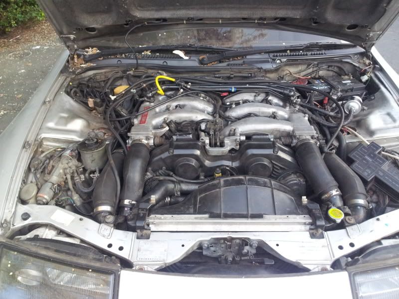 2012-03-28182909.jpg