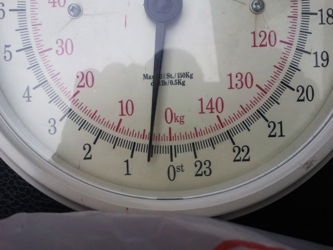 2011-03-30121952.jpg