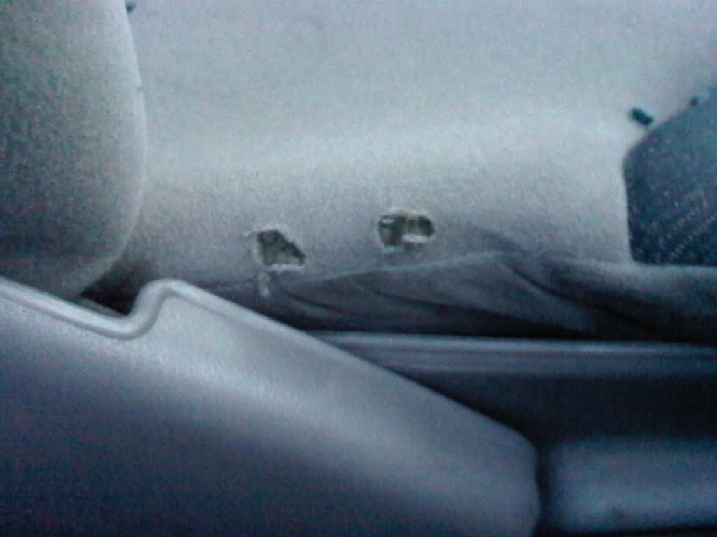 IMG-20120210-01119.jpg