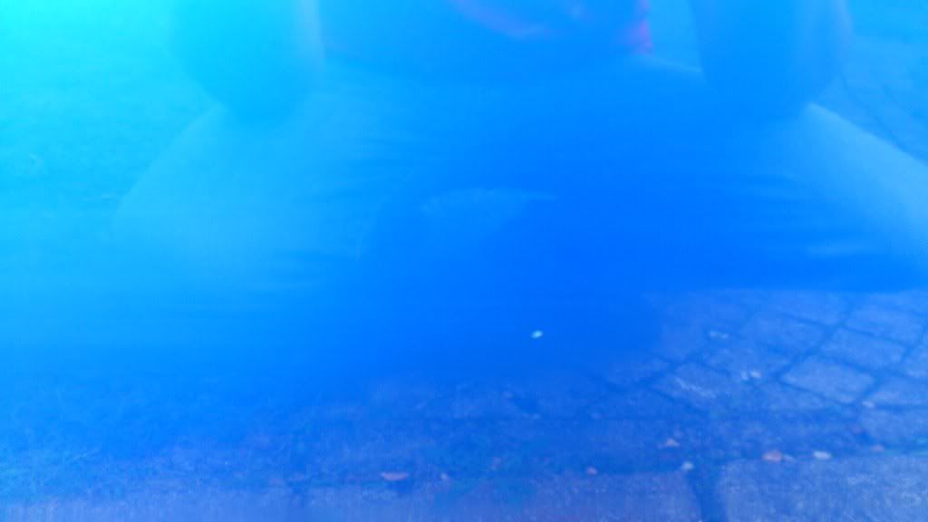 DSC_1338.jpg