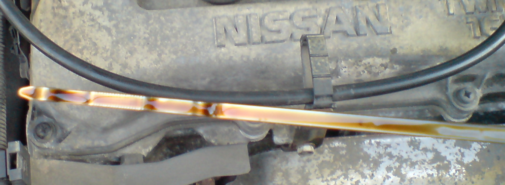 dipstick.png