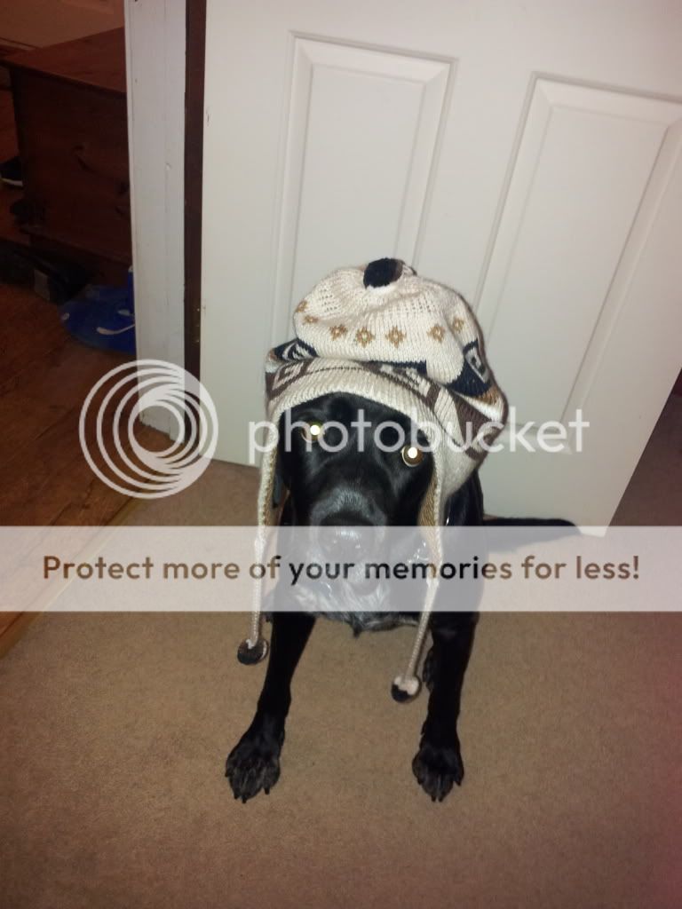 20121211_205412_zps3518589d.jpg