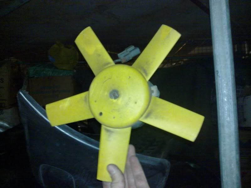 11082010123.jpg
