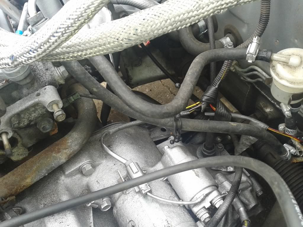 20130701_115704_zpsc823ec54.jpg