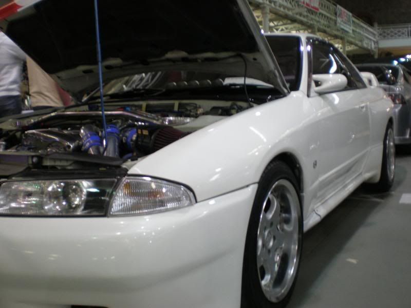 P4110048.jpg
