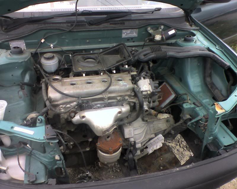 Picture0129Medium.jpg