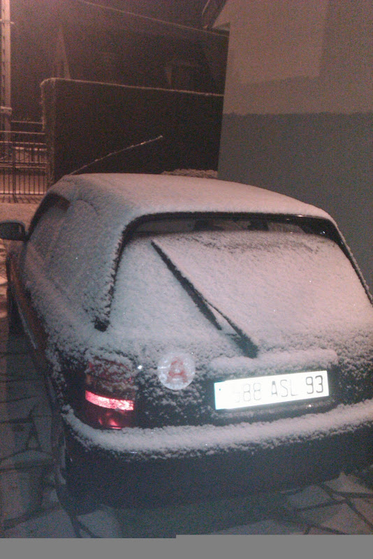 IMAG0441.jpg