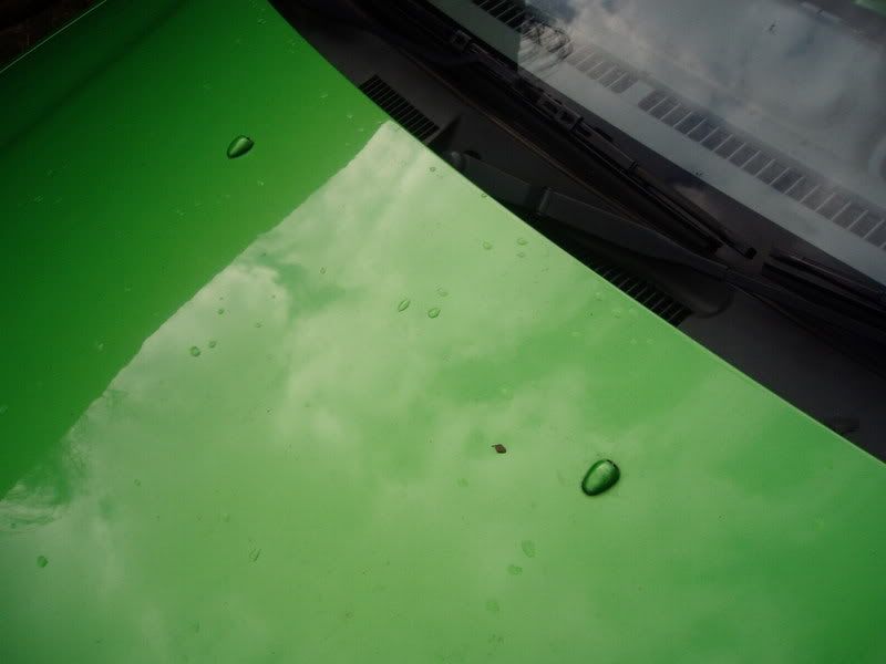 P1010228.jpg