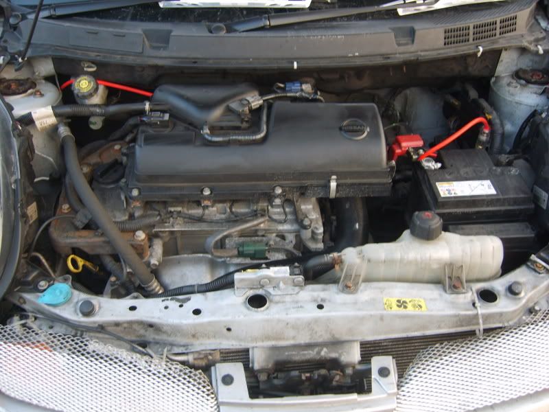 S8001642.jpg