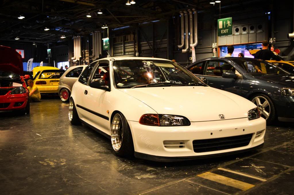 DSC_0139_zps07e4284c.jpg