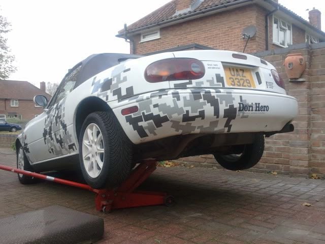 2011-11-01093824.jpg
