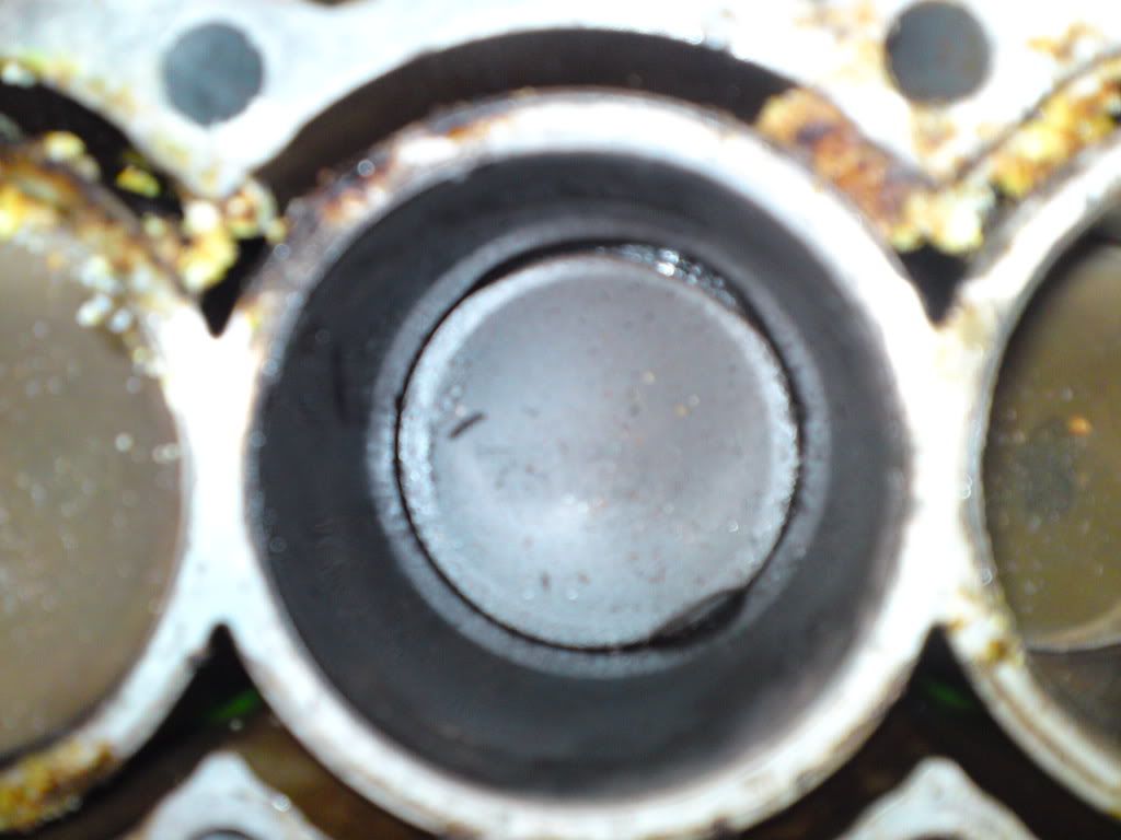 DSC00372.jpg