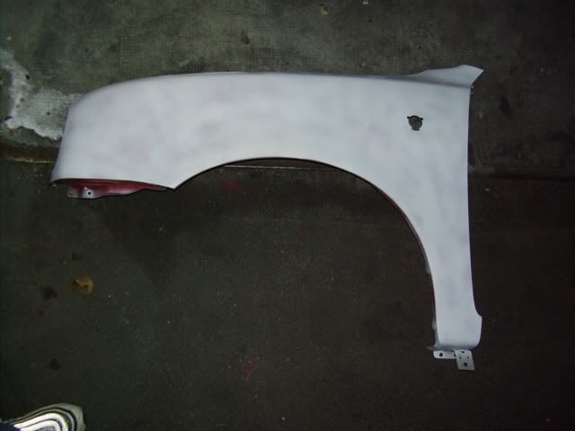 primed1.jpg