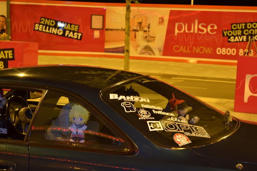 DSC_0237.jpg