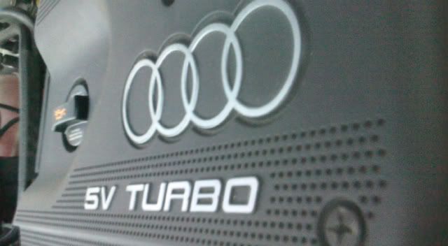 audi10.jpg