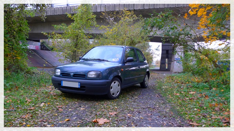 p1000206-2236b66.jpg