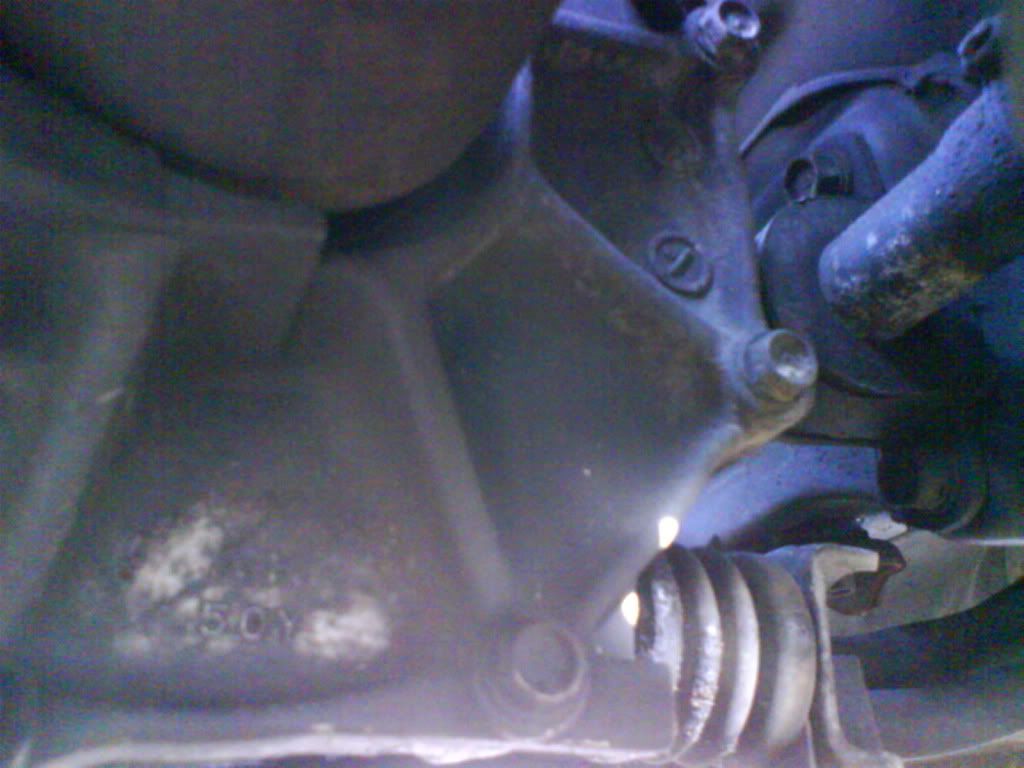 DSC00942-1.jpg