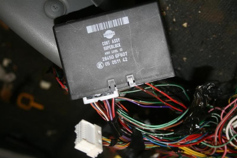 IMG_4548Medium.jpg