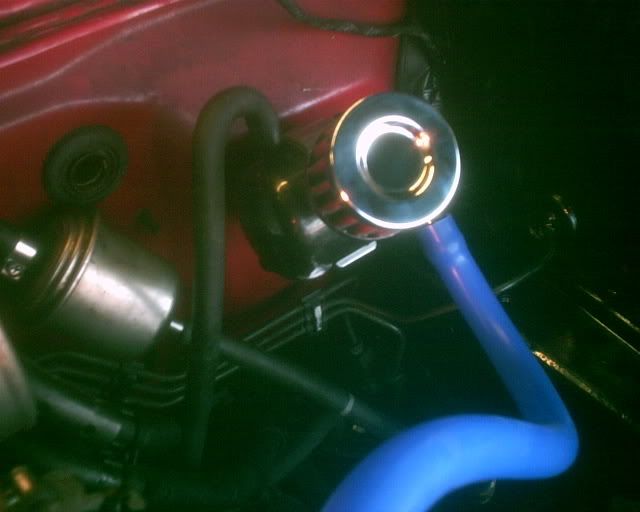 PICT0127.jpg