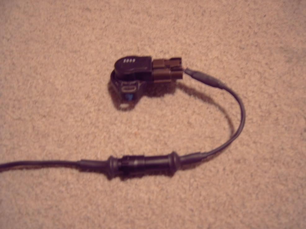 IMG00060.jpg