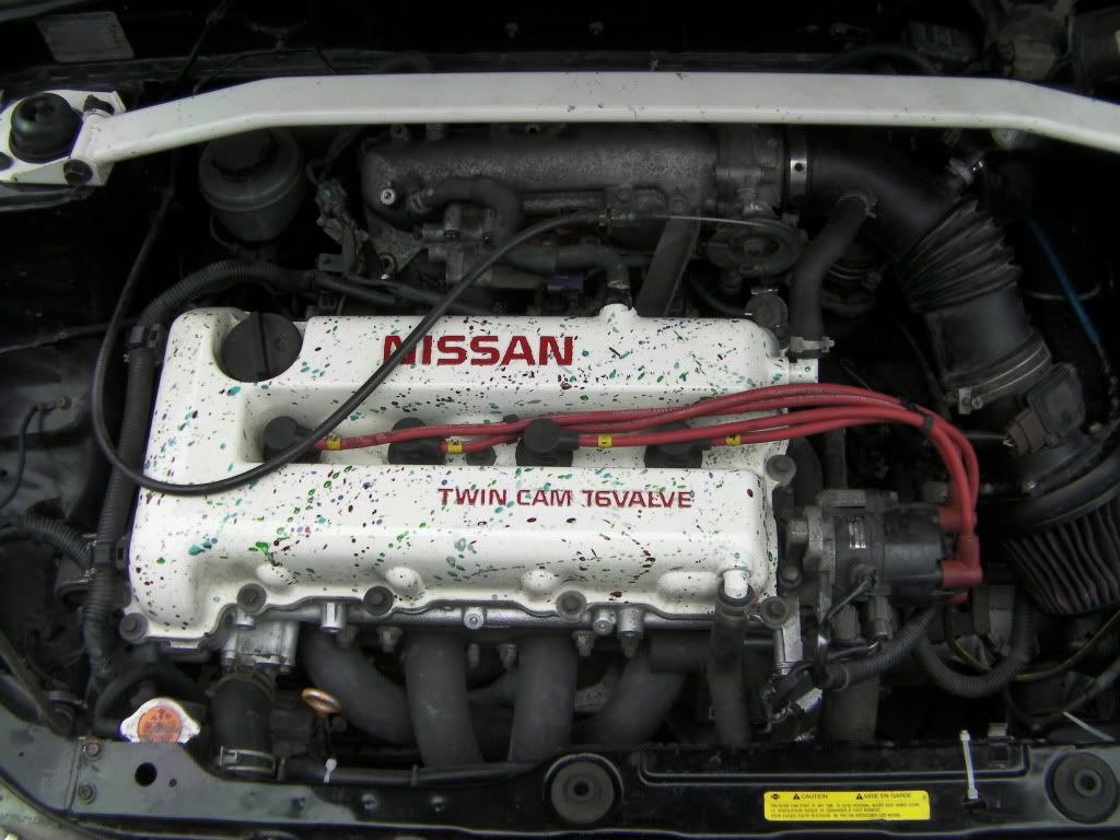 SANY0069.jpg