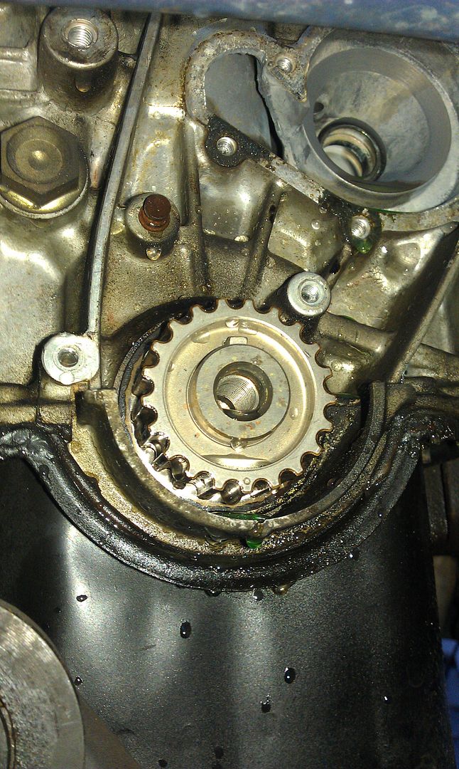 IMAG0560.jpg