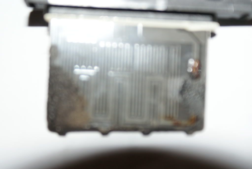 DSC03805.jpg