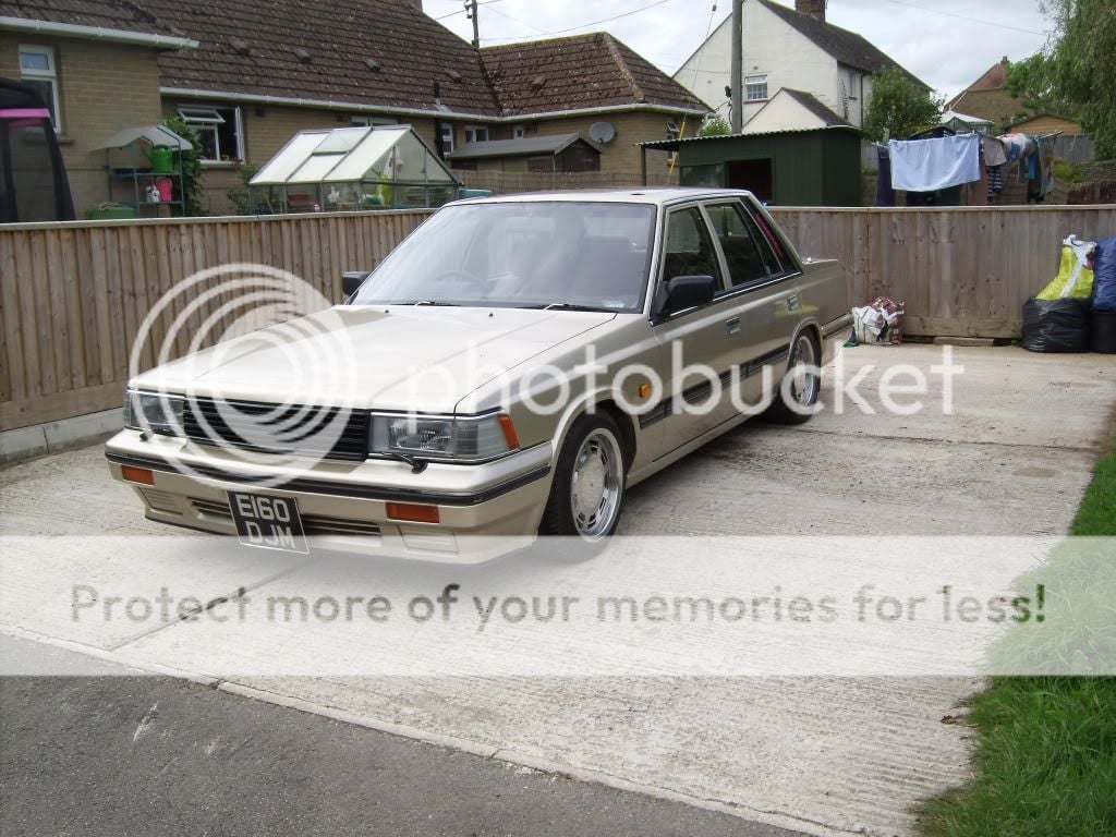 laurelsalepics002.jpg