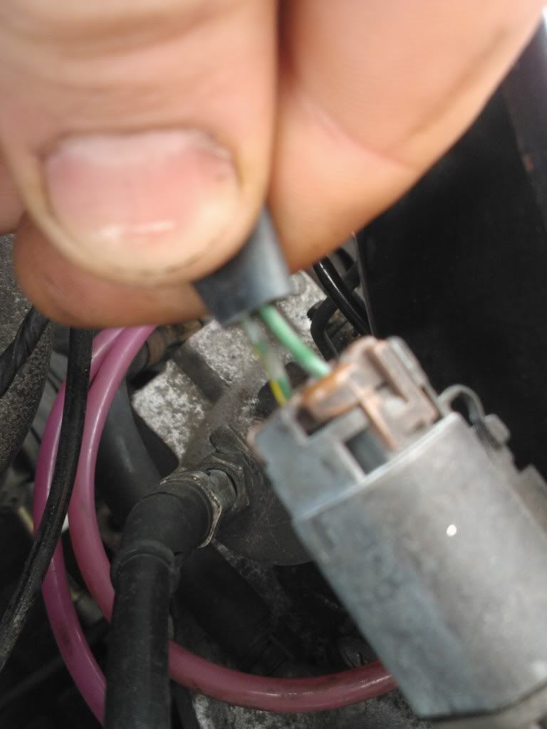 temporary_zps7c0bb427.jpg